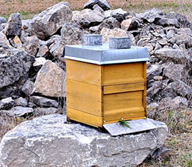 SchotterSchneider_Bild_Gegenwart_7