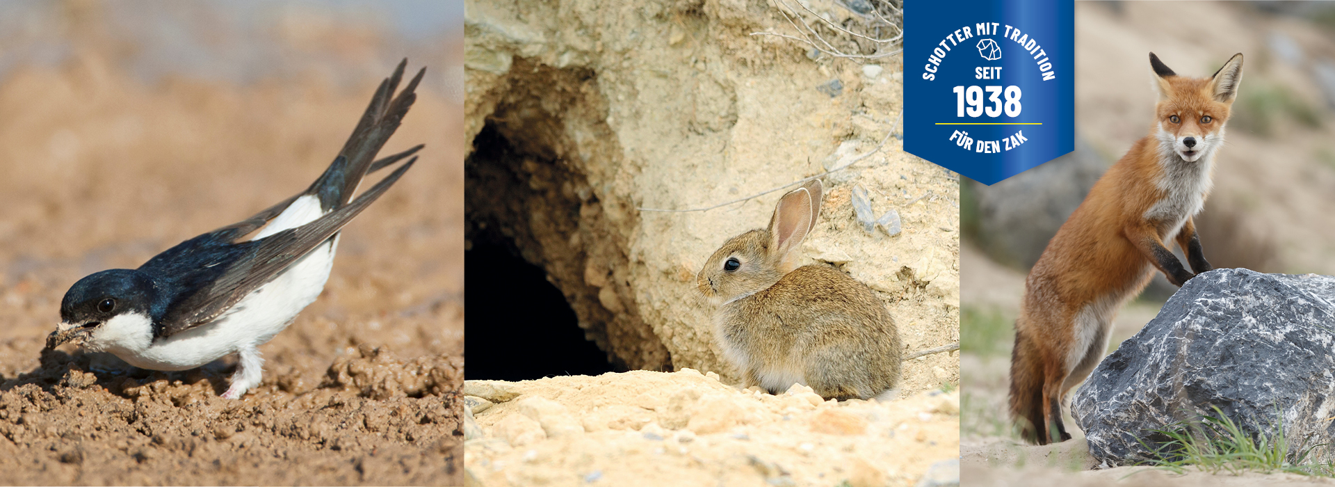 SchotterSchneider_Header_3